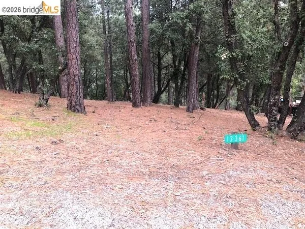 a view of outdoor space with trees