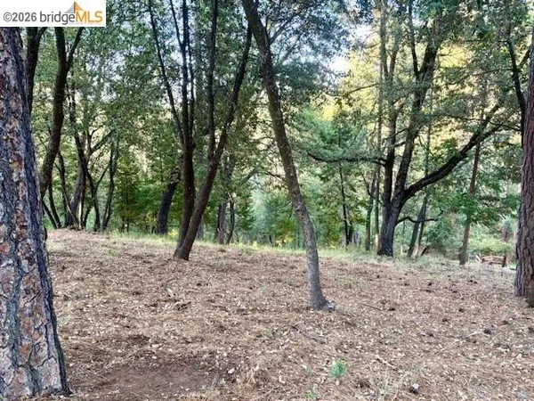 a backyard of a house with lots of trees