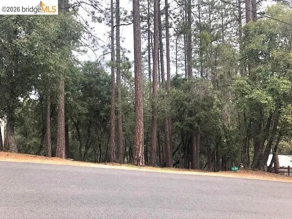 a view of a park that has large trees