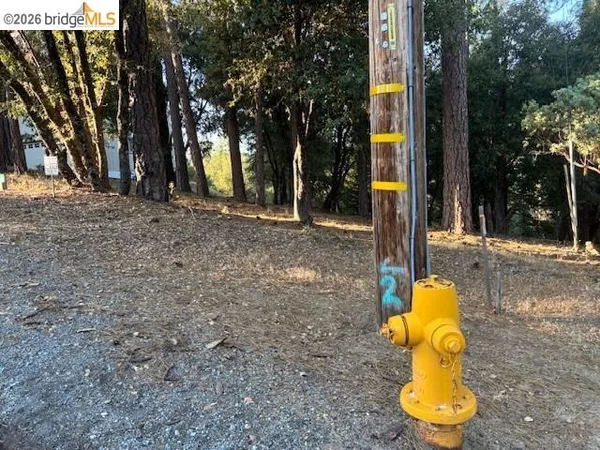 a view of street along with trees