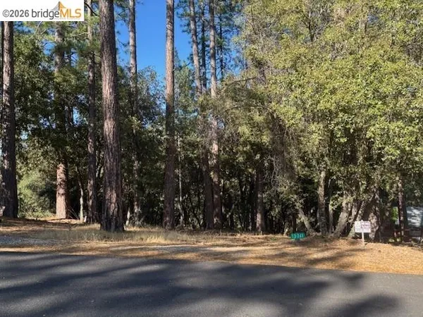 $10,000 | 12301 Tower Peak Court, Groveland, CA 95321