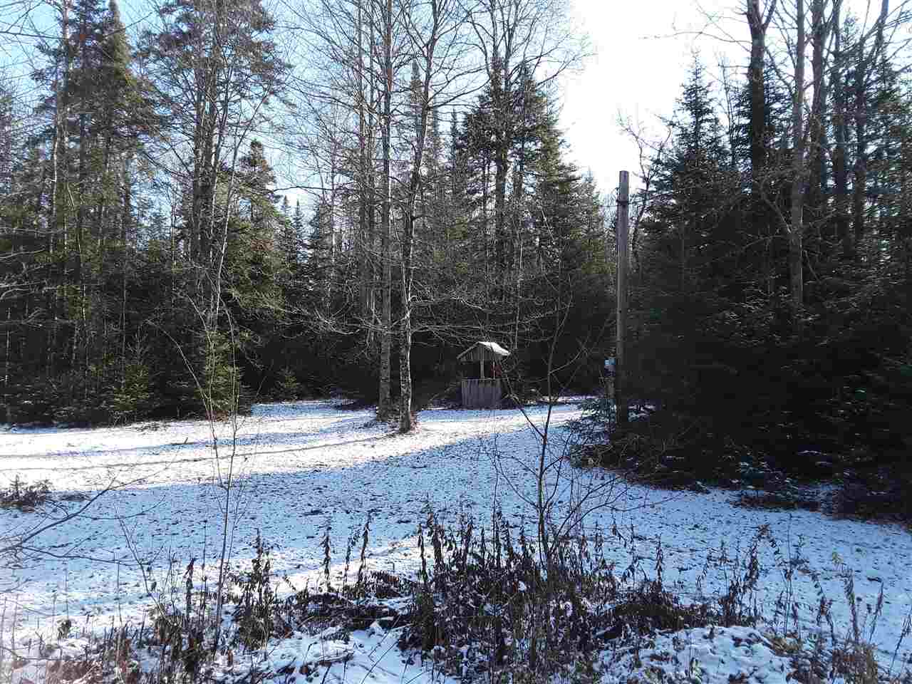 Moose Trail Road Bethlehem, NH 03574 - Photo 4 of 4 Gallery Image 4