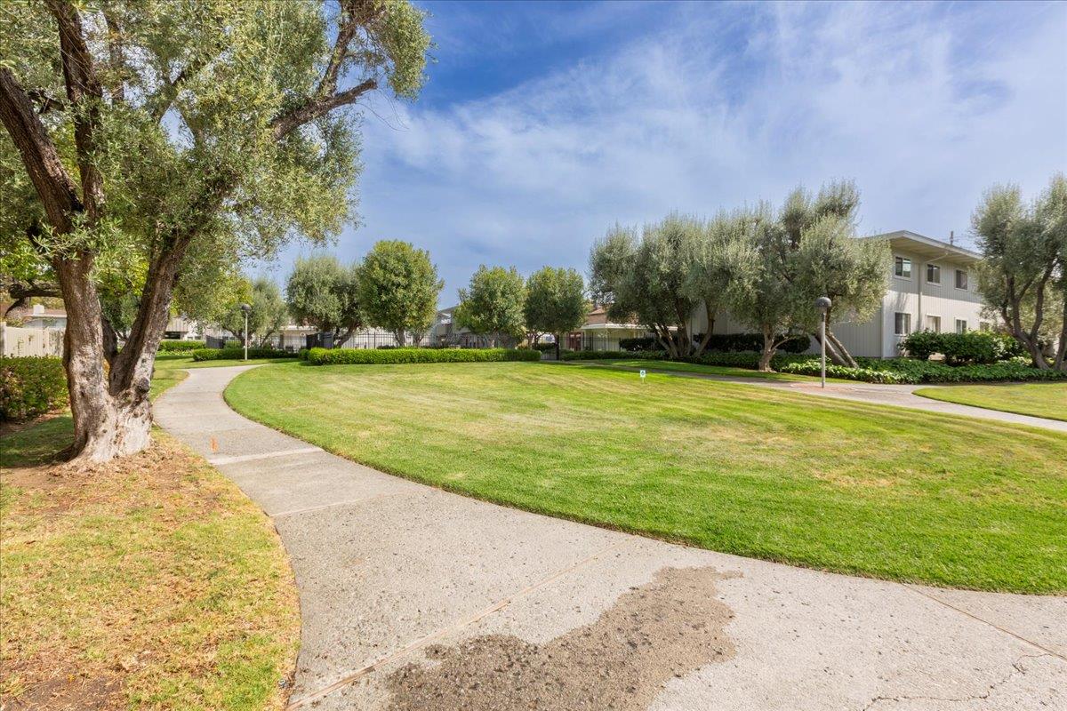 255 South Rengstorff Avenue, Unit 99 Mountain View, CA 94040 - Photo 24 of 31 Gallery Image 24