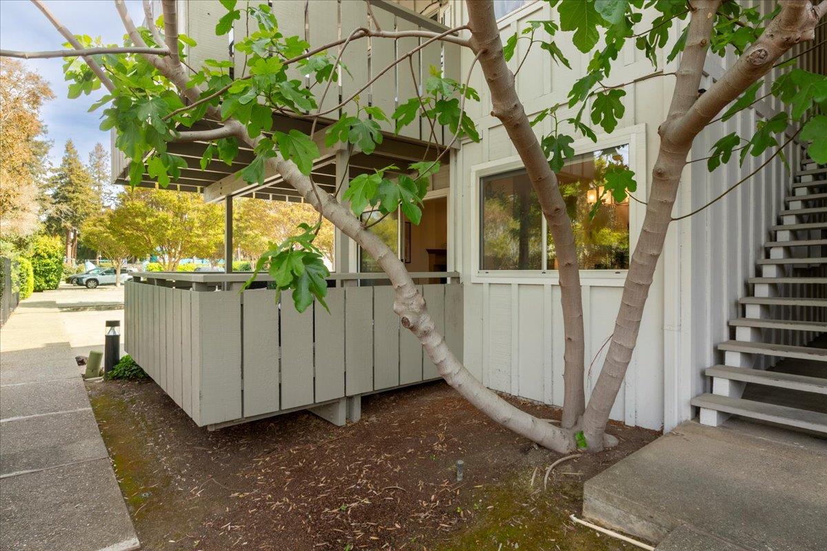 255 South Rengstorff Avenue, Unit 99 Mountain View, CA 94040 - Photo 3 of 31 Gallery Image 3