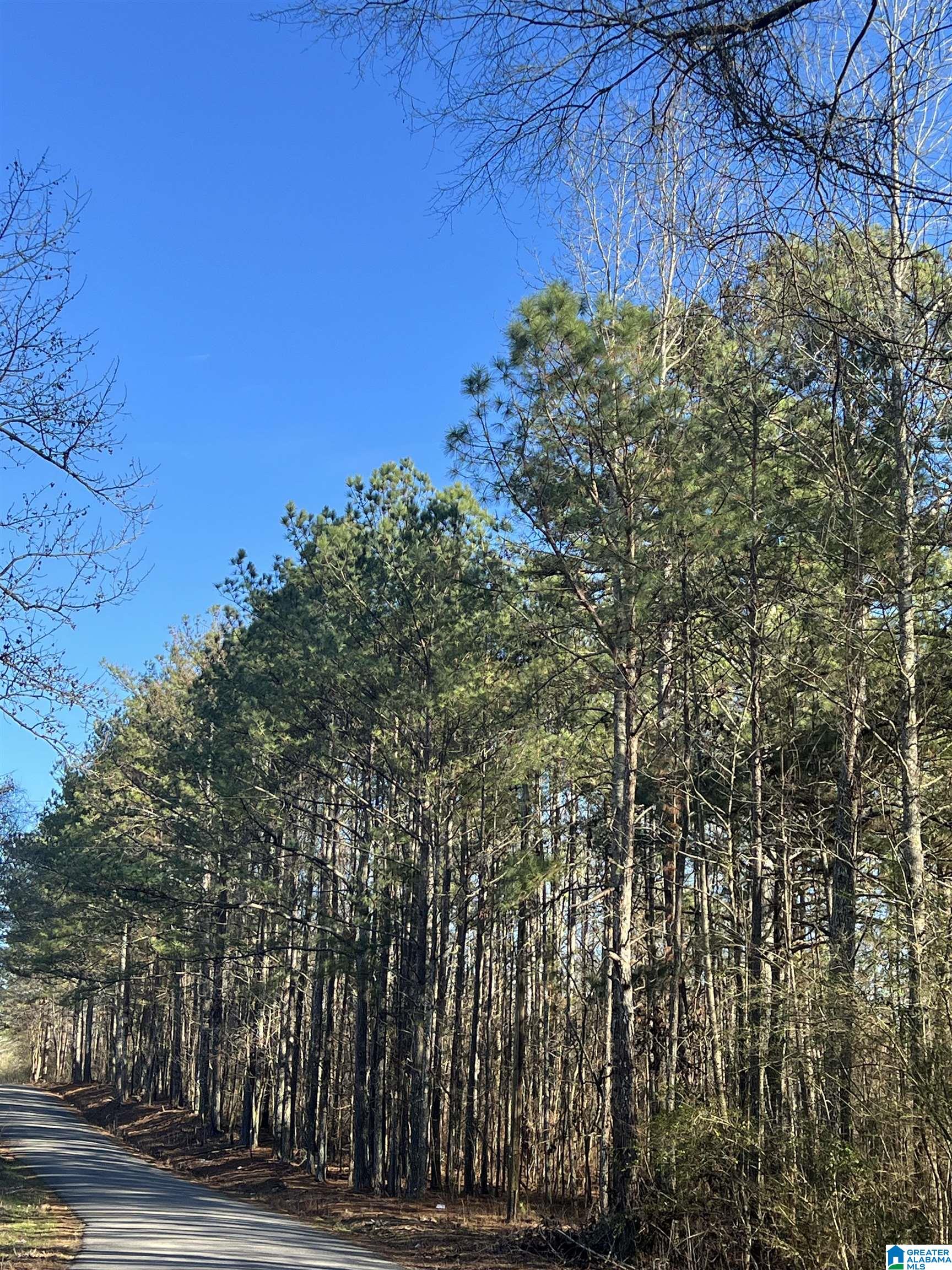 0 Altoona Cutoff Road, Unit 47 5 Oneonta, AL 35121 - Photo 19 of 36