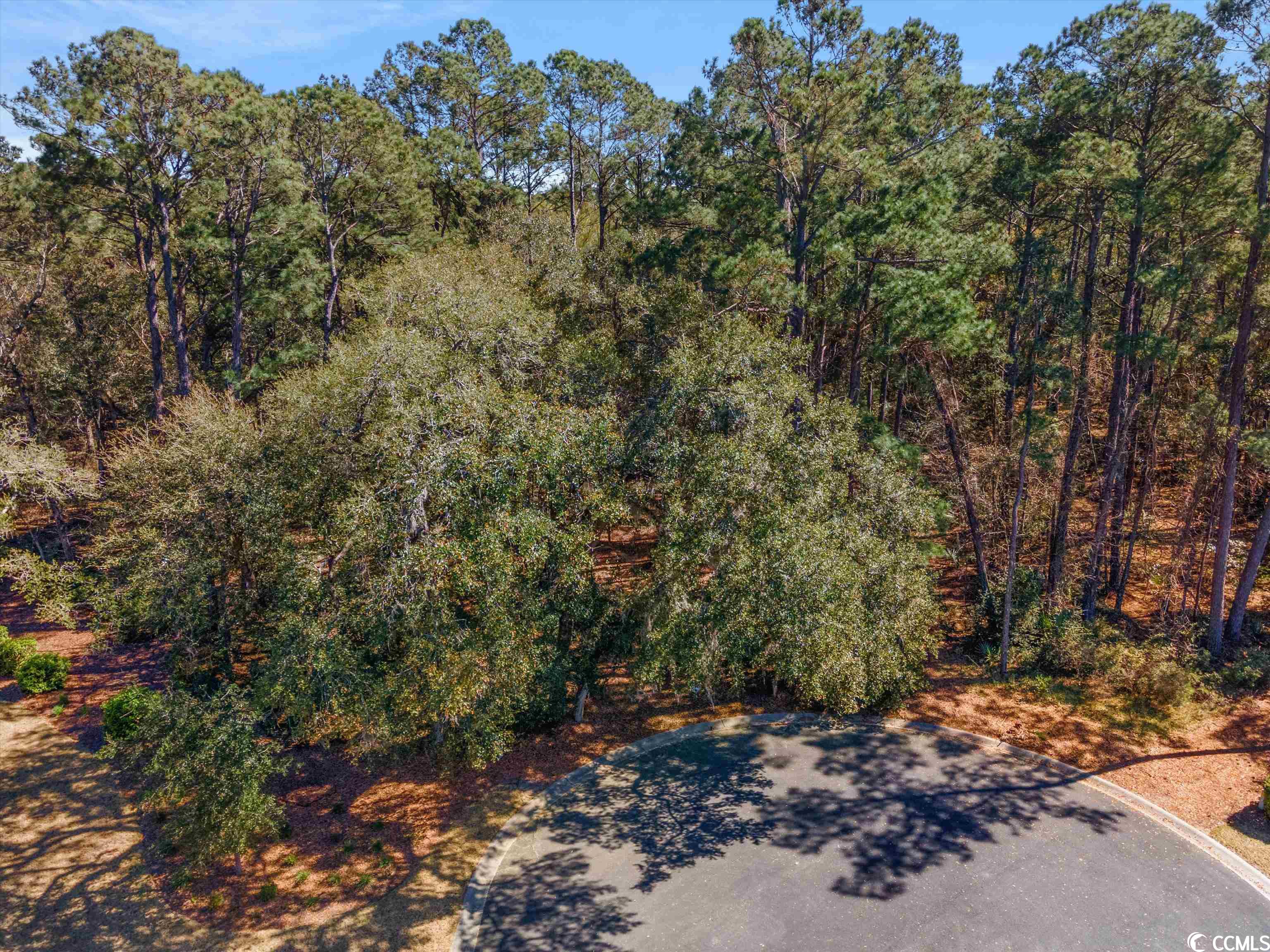91 Severin Place Georgetown, SC 29440 - Photo 8 of 12 Gallery Image 8