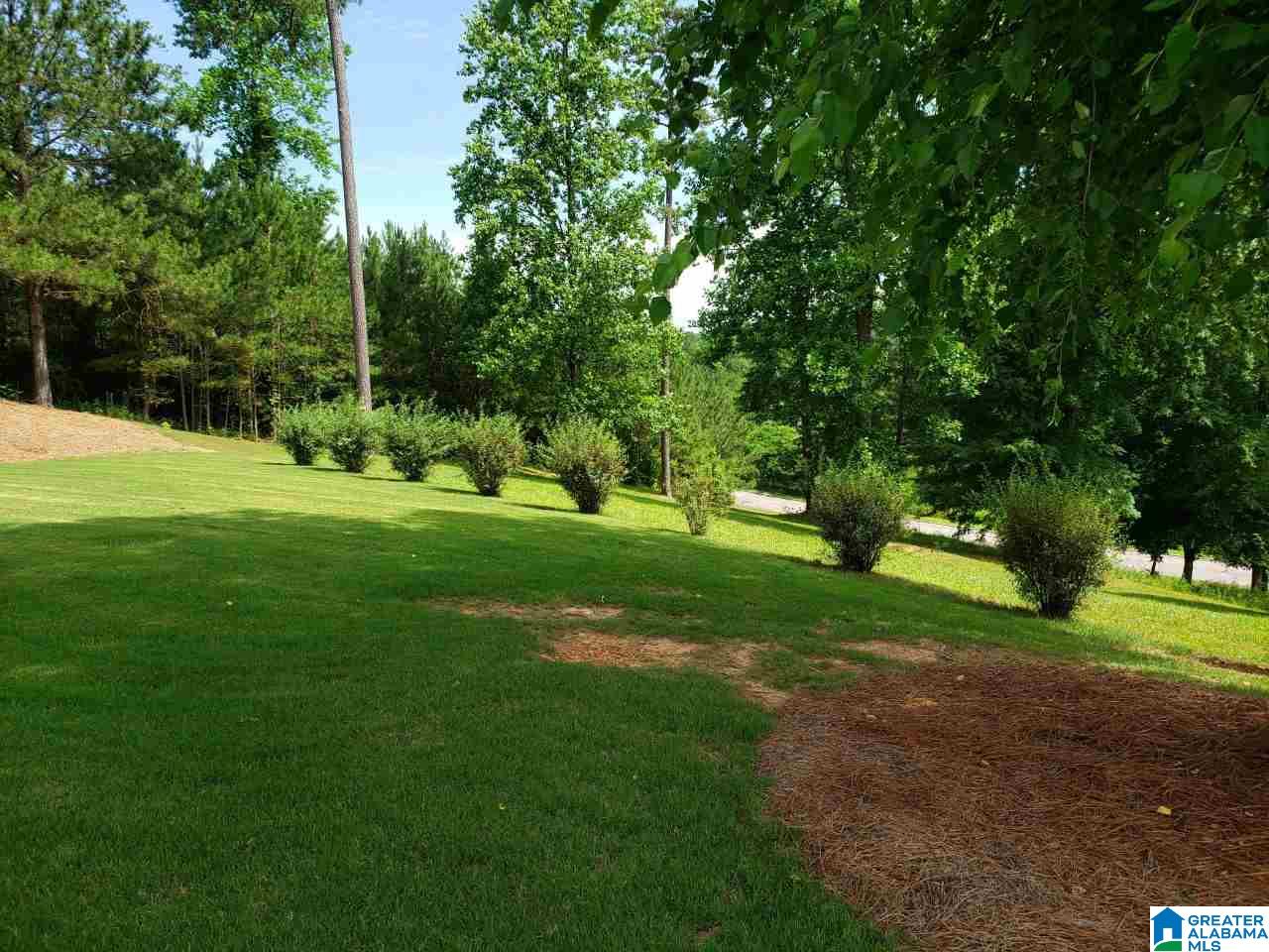 60 Easy Street Oneonta, AL 35121 - Photo 38 of 43