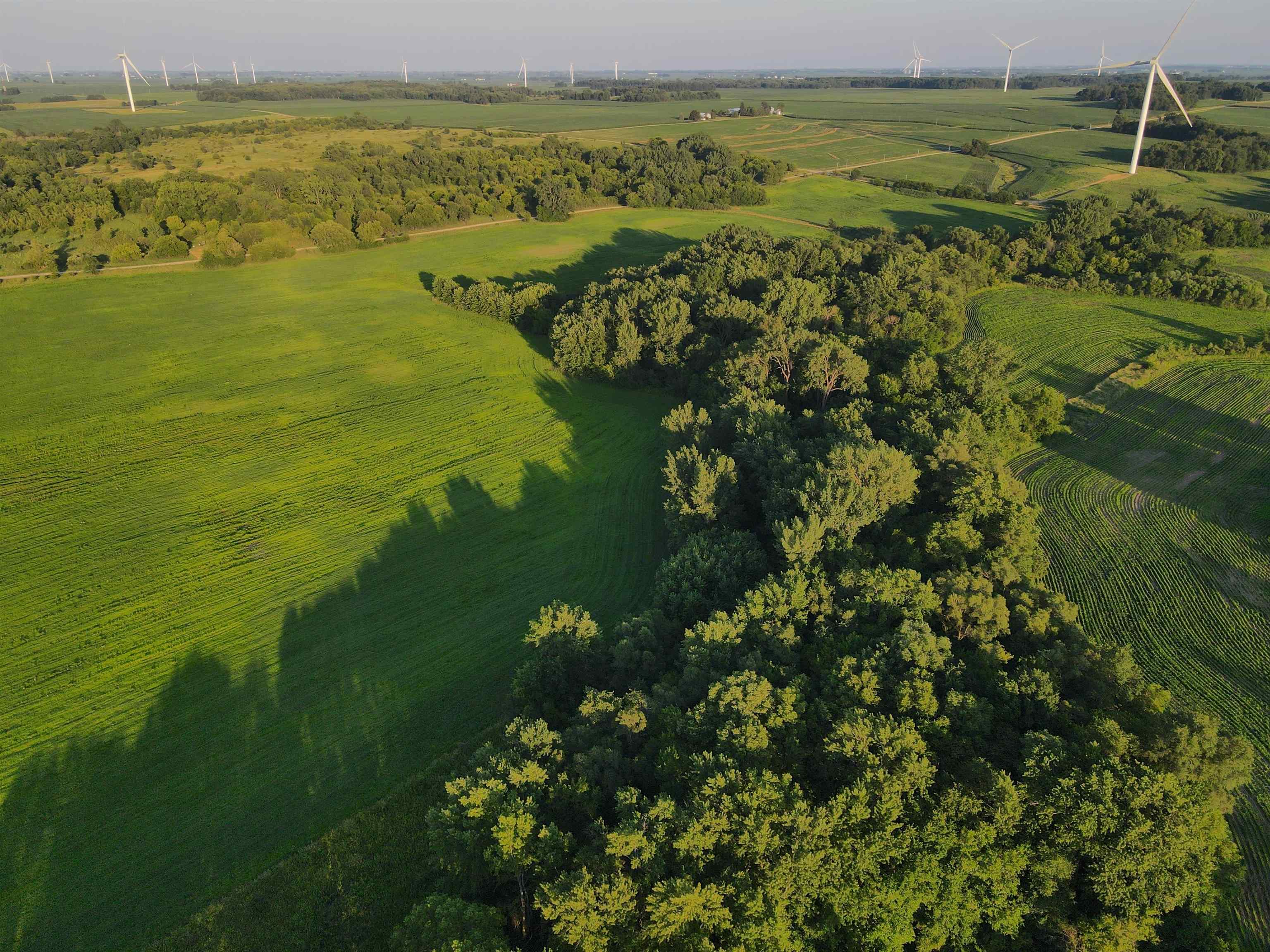 0 Todd Road Amboy, IL 61310 - Photo 21 of 58