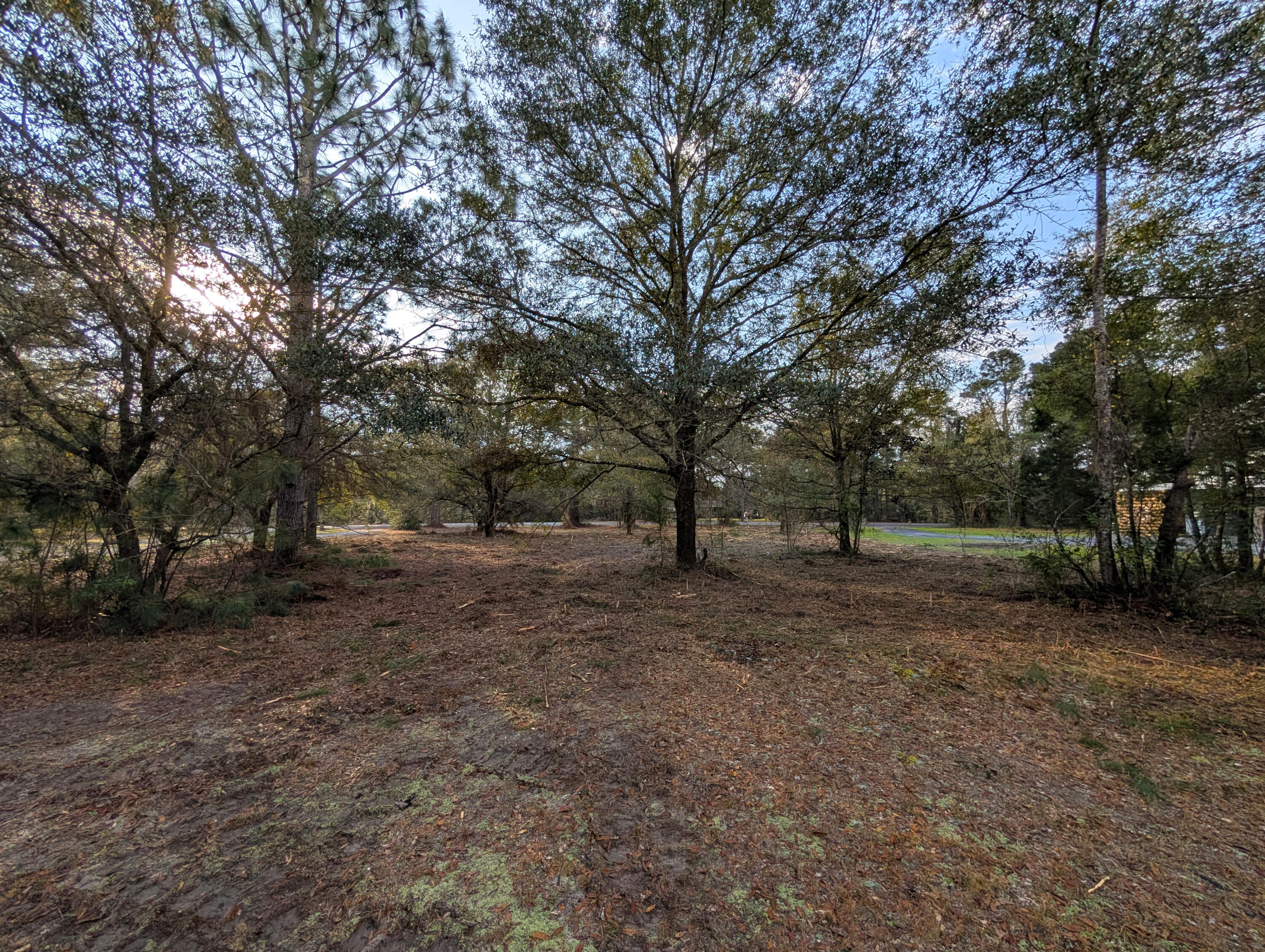 1020 South Pinckney Street McClellanville, SC 29458 - Photo 3 of 10 2