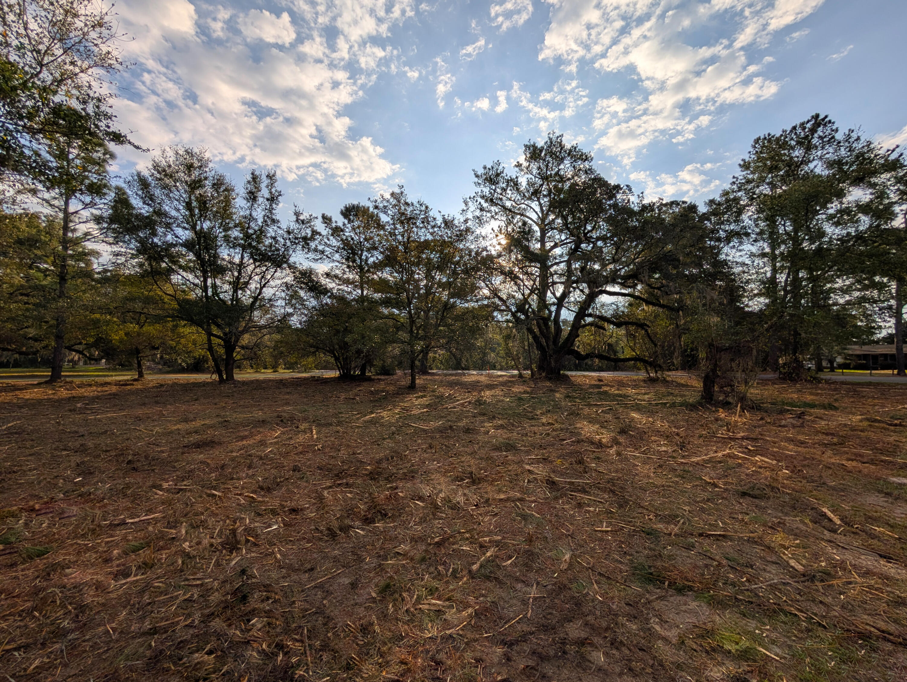 1020 South Pinckney Street McClellanville, SC 29458 - Photo 5 of 10 4