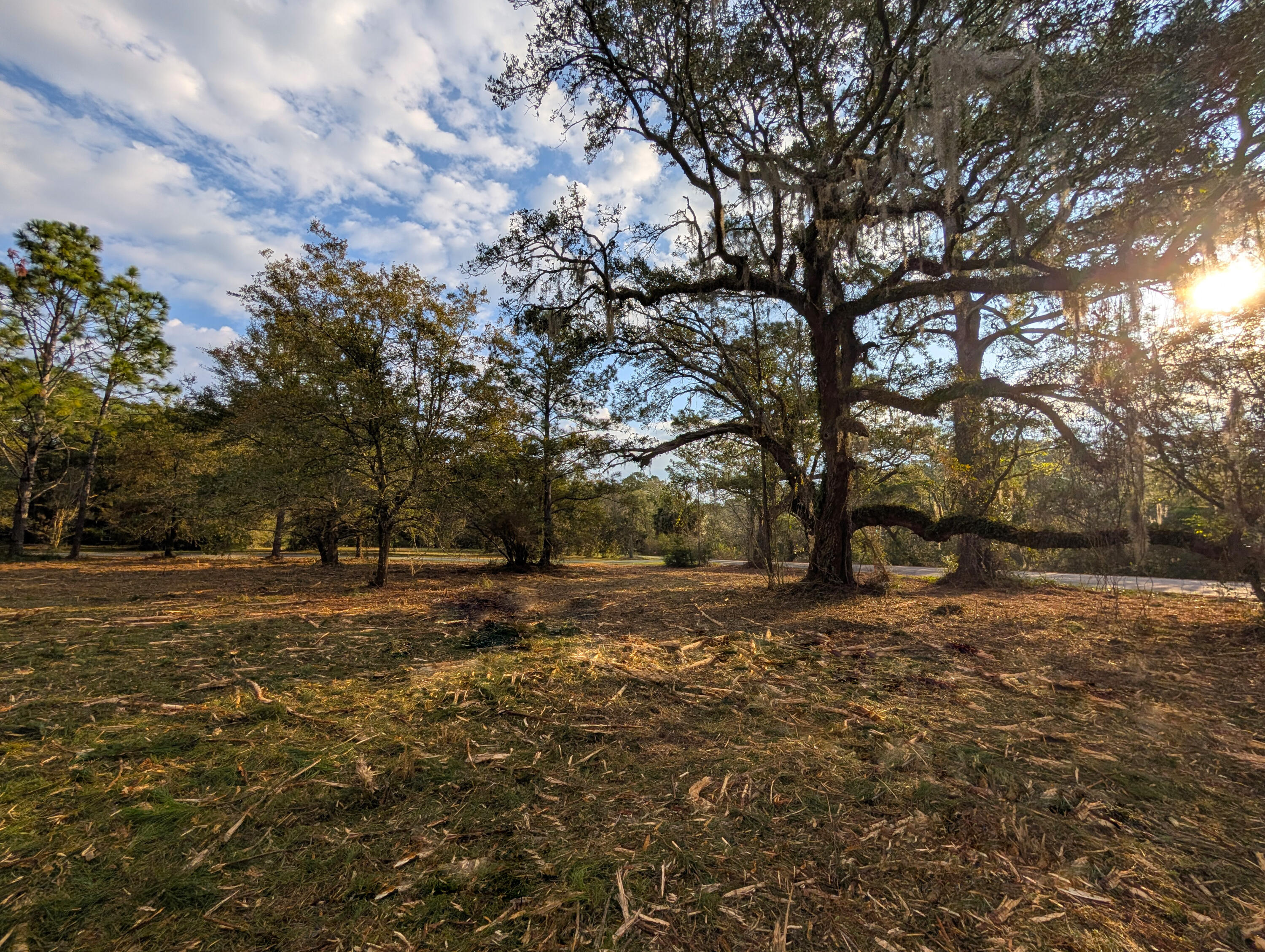 1020 South Pinckney Street McClellanville, SC 29458 - Photo 6 of 10 5