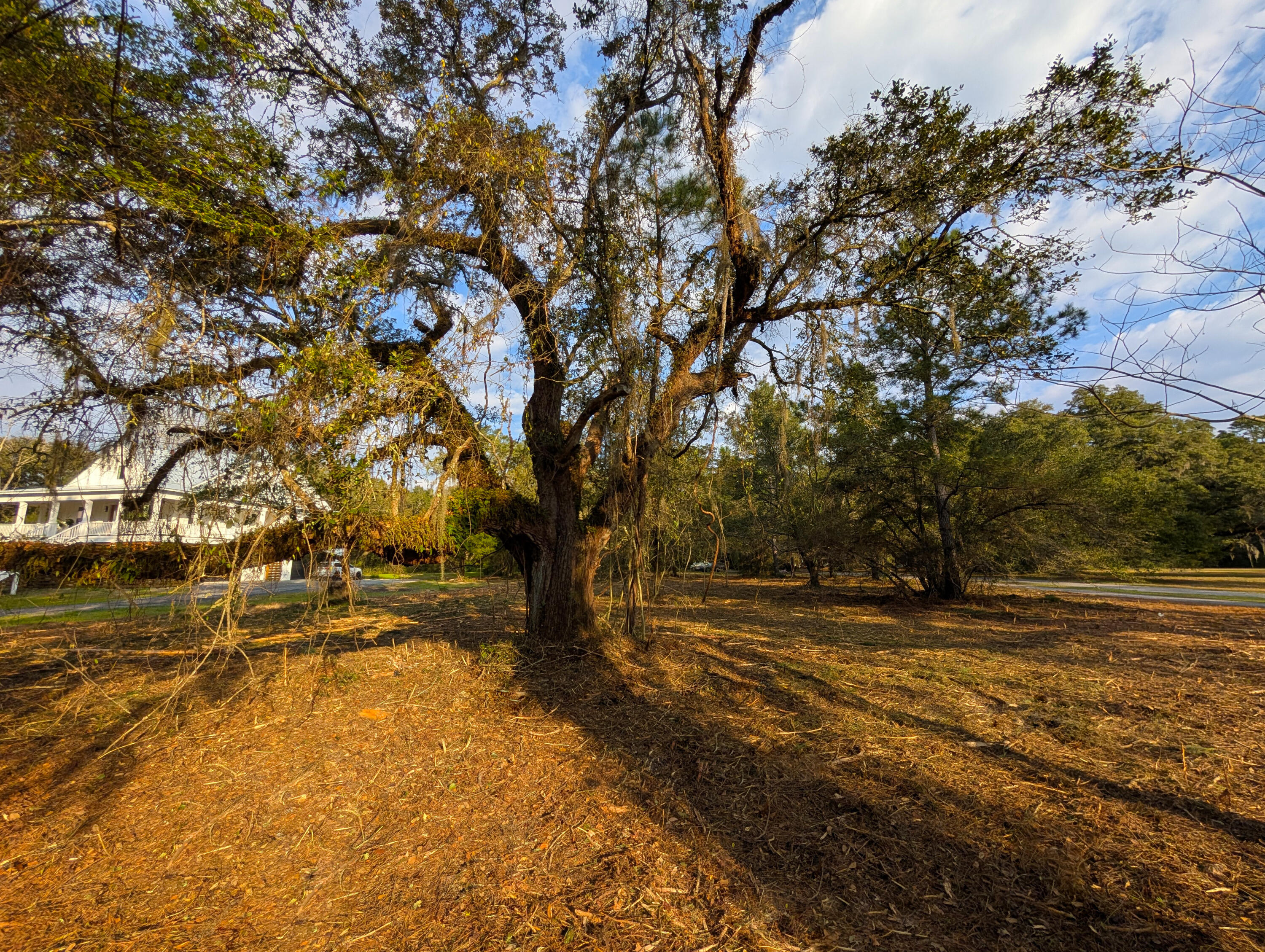 1020 South Pinckney Street McClellanville, SC 29458 - Photo 7 of 10 6