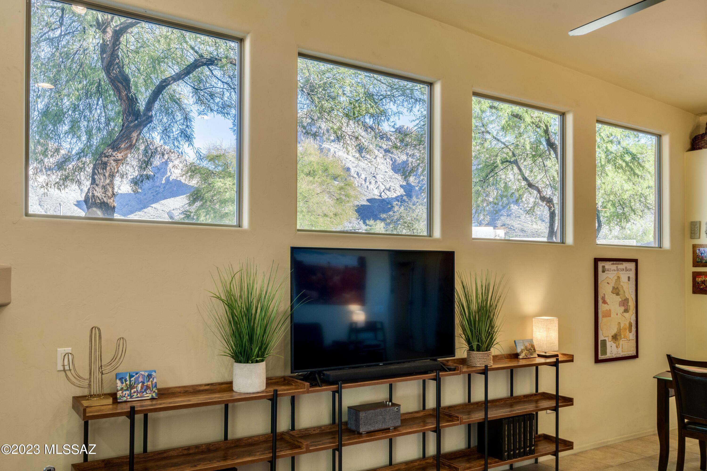 223 East Spring Sky Street Tucson, AZ 85737 - Photo 15 of 37