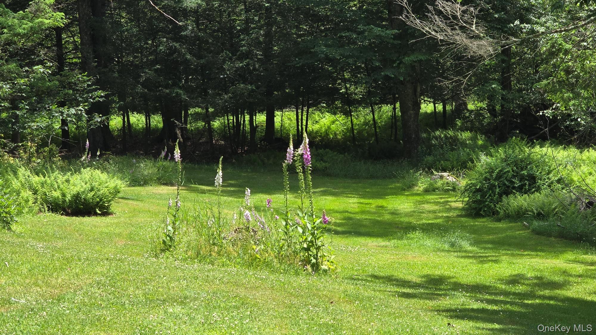40 Barton Road Liberty, NY 12754 - Photo 15 of 18