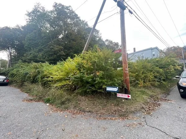 a backyard of a house with a yard and trees