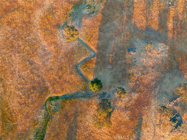 a view of a small yard