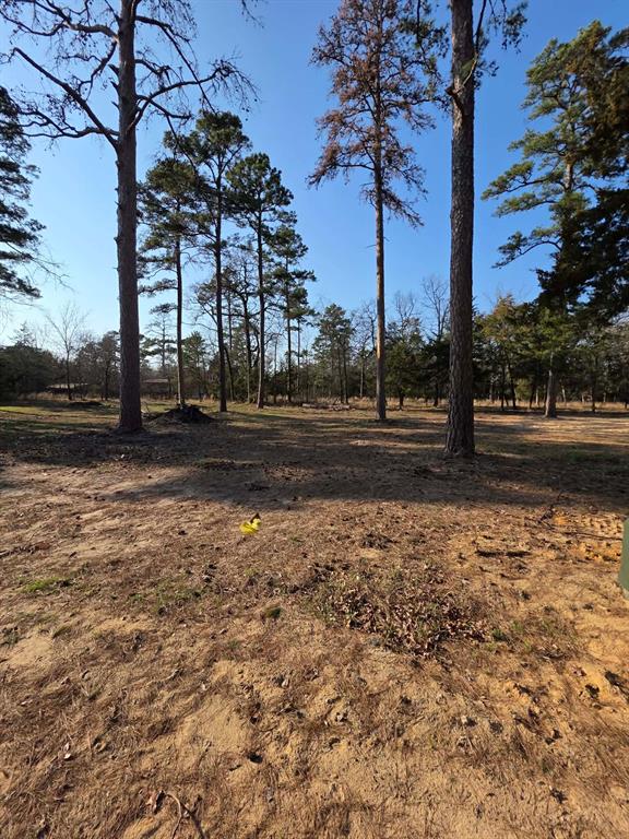 Lot 36-37 King Charles Road Scroggins, TX 75480 - Photo 10 of 14 a view of street with green space