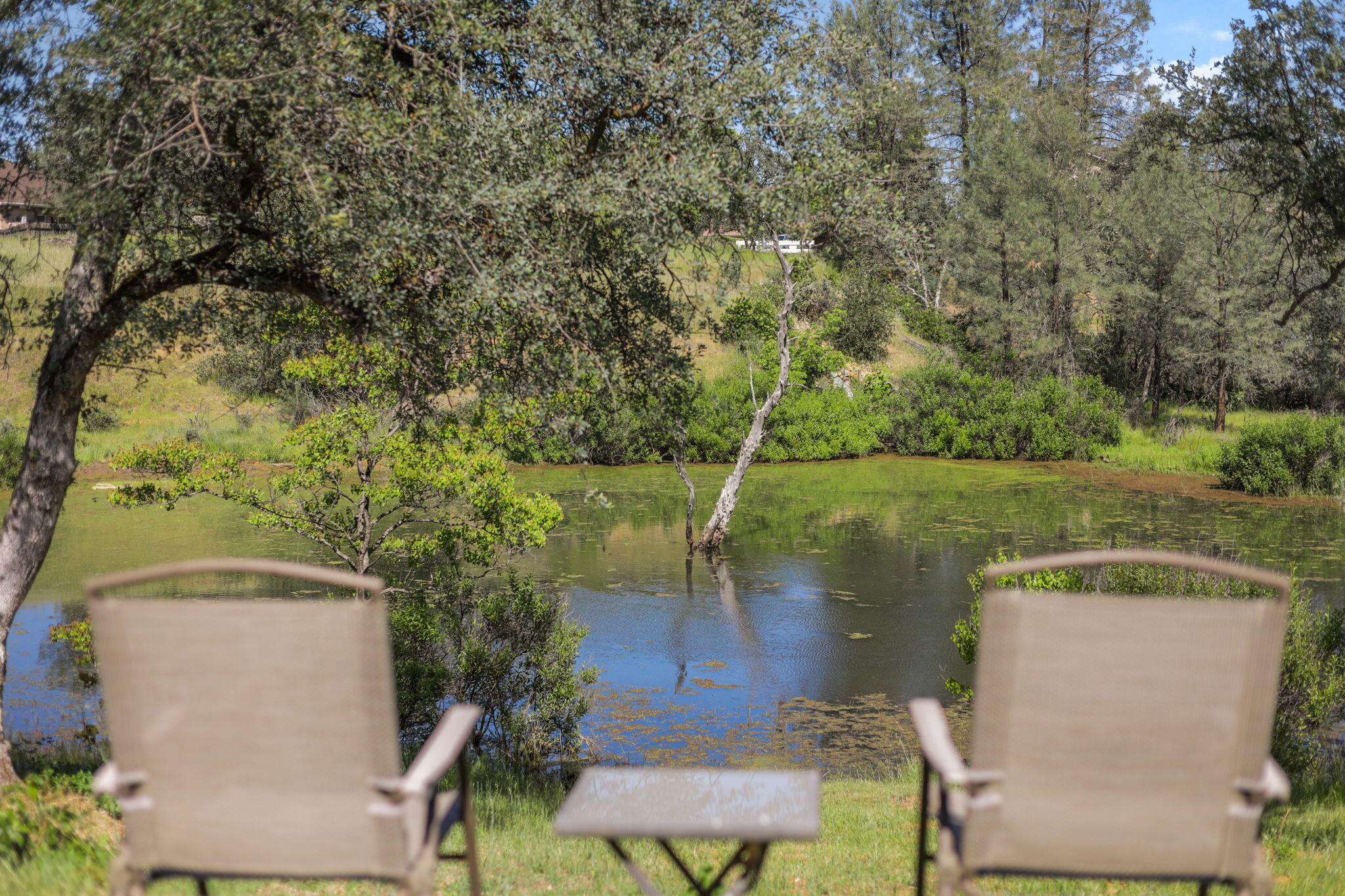 4485 Placer Road Redding, CA 96001 - Photo 39 of 77 View