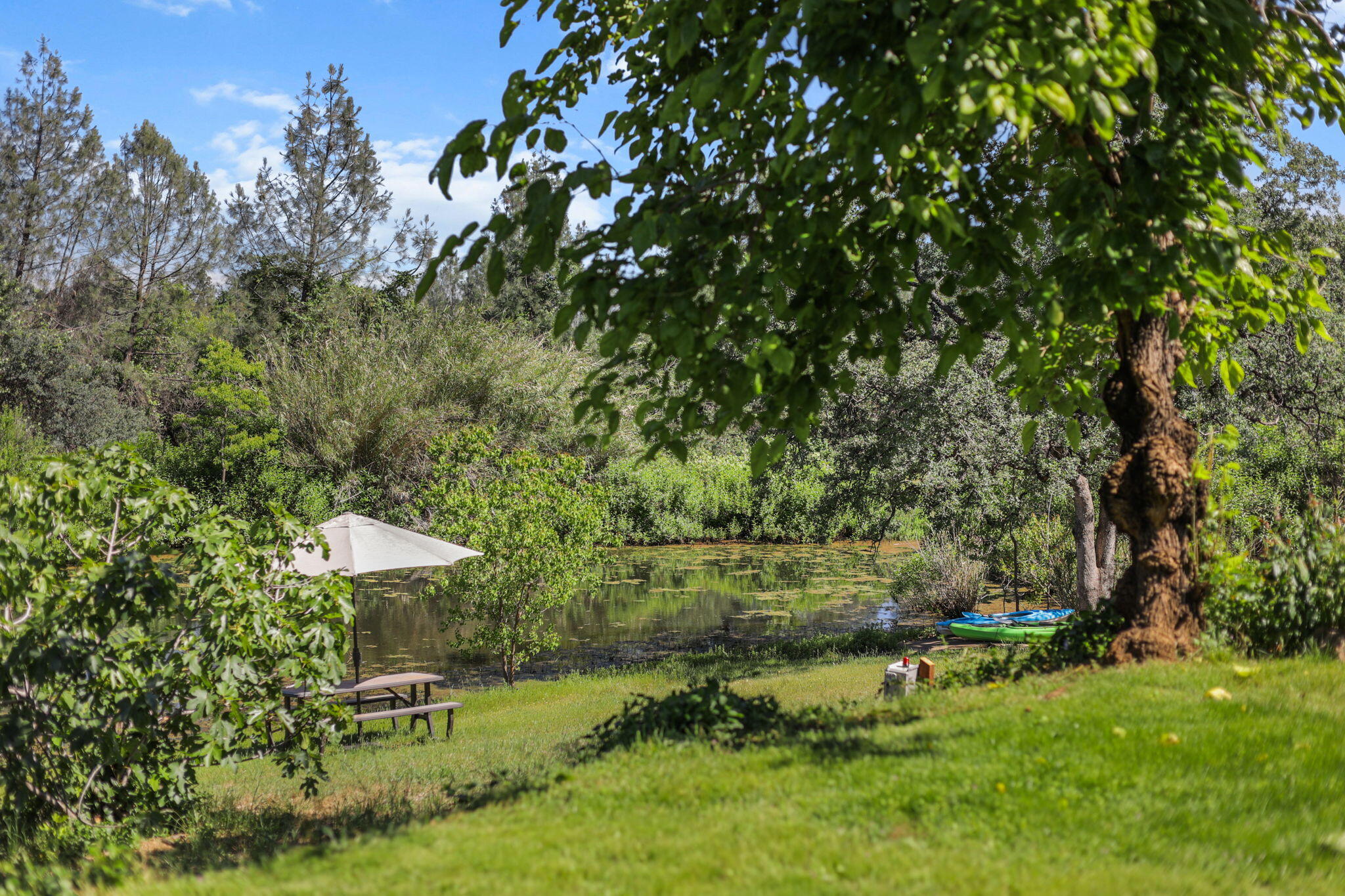 4485 Placer Road Redding, CA 96001 - Photo 40 of 77 Yard