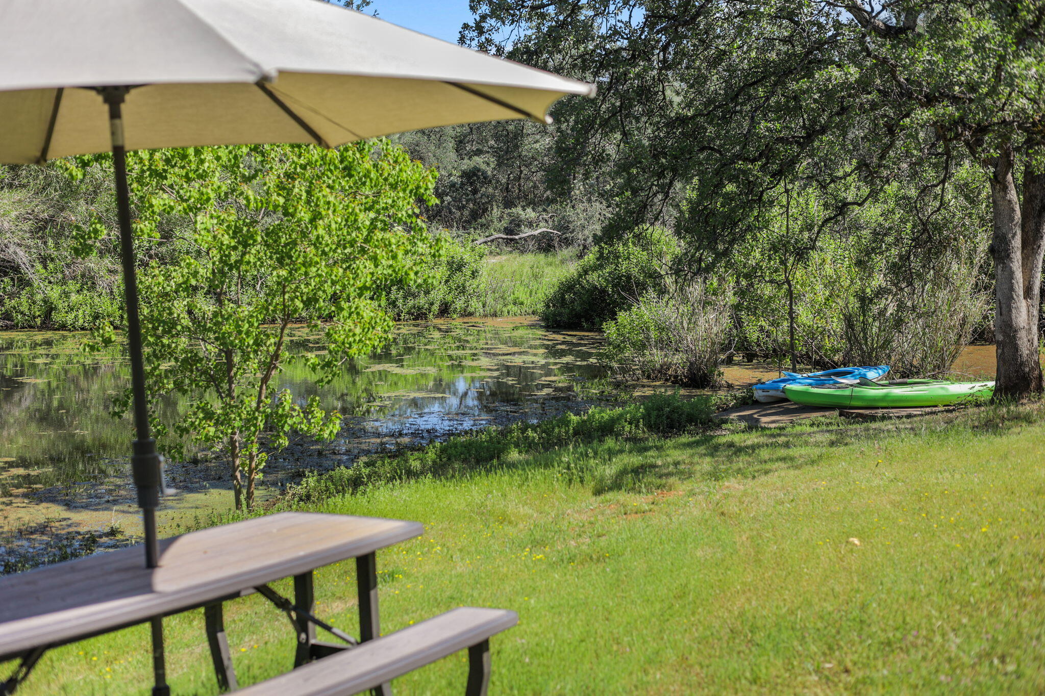 4485 Placer Road Redding, CA 96001 - Photo 46 of 77 Picnic Table