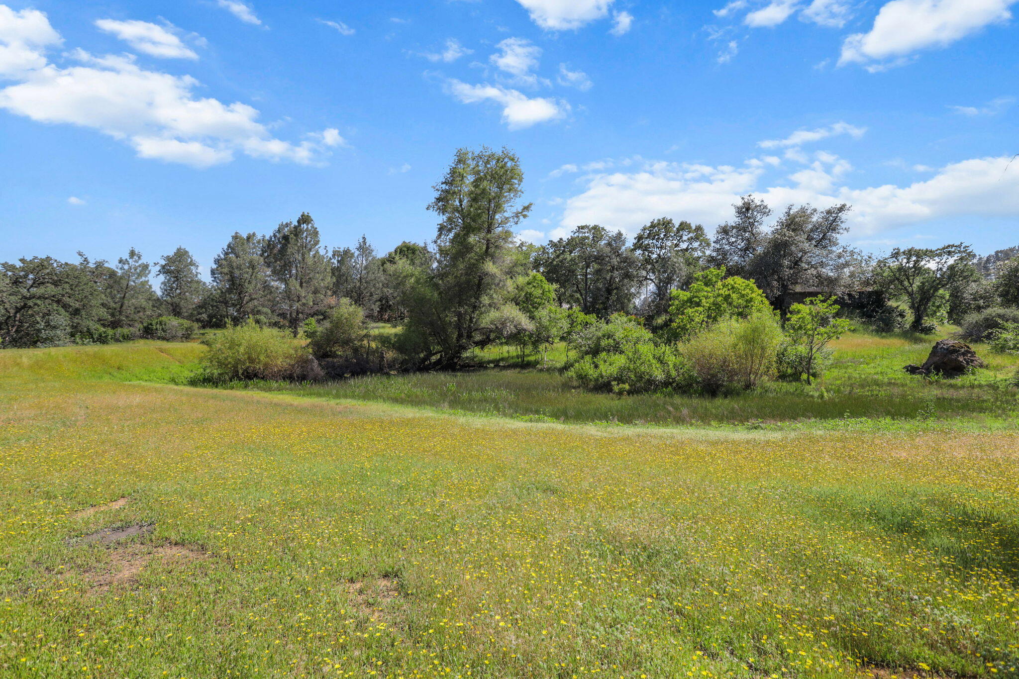 4485 Placer Road Redding, CA 96001 - Photo 49 of 77 Meadow