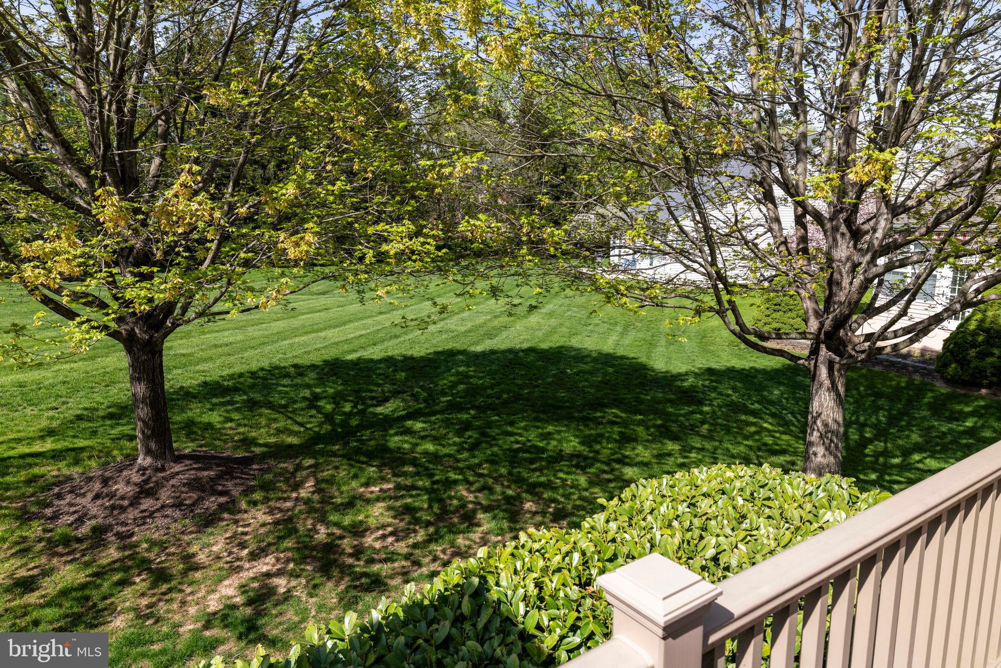 1028 Conway Court Warminster, PA 18974 - Photo 27 of 32 a view of a yard with plants and large trees