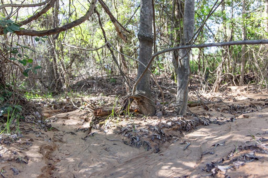 Tbd Tbd Ridgeline Loop, Unit LOT #93 Winona, TX 75792 - Photo 2 of 4 a view of trees and covered with snow