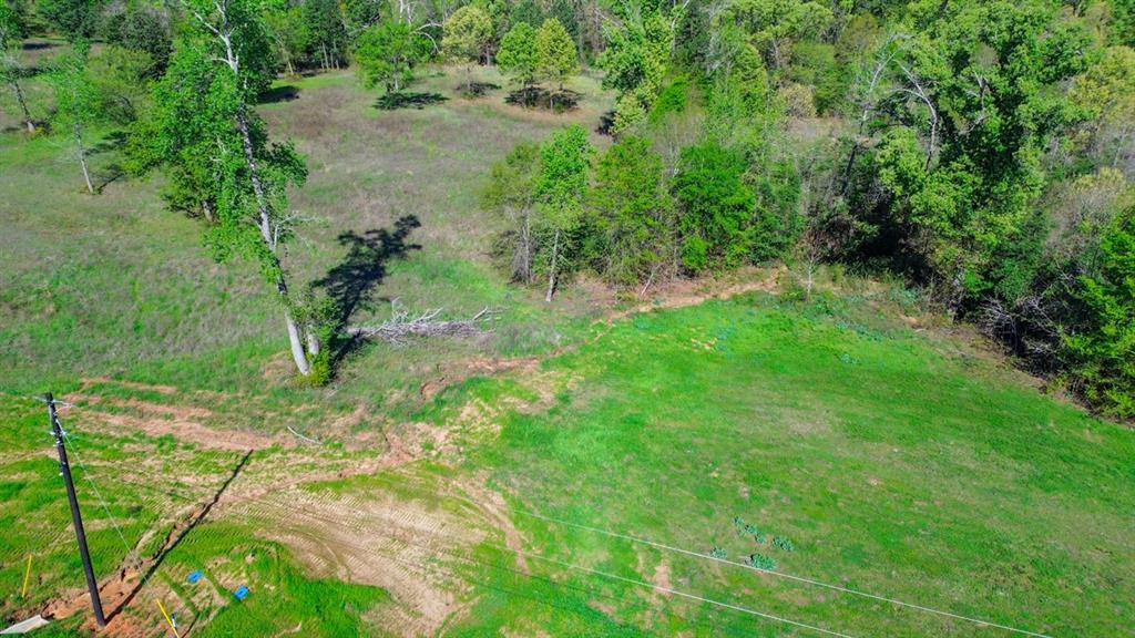 Tbd Tbd Ridgeline Loop, Unit LOT #93 Winona, TX 75792 - Photo 4 of 4 a view of a yard with plants and a bench