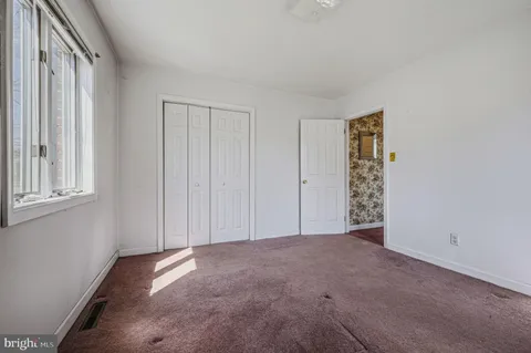 a view of backyard with wooden fence and a large tree