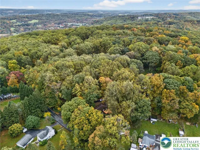 a view of a city with tall trees