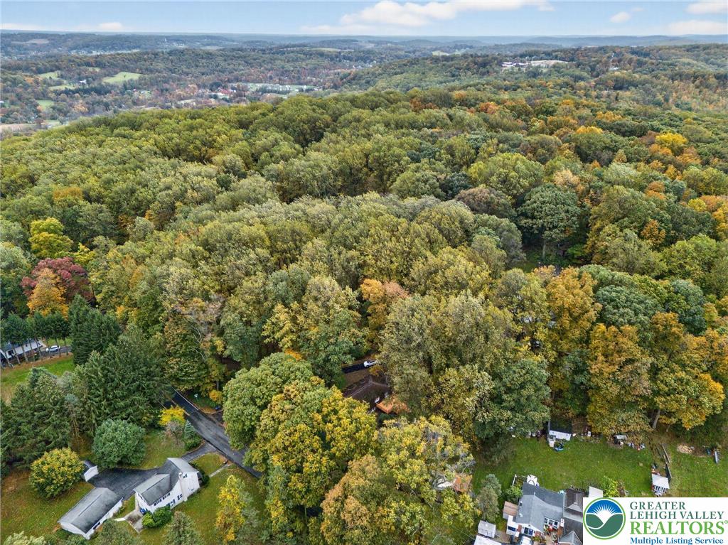 340 Chestnut Hill Road Emmaus, PA 18049 - Photo 12 of 49 a view of a city with tall trees