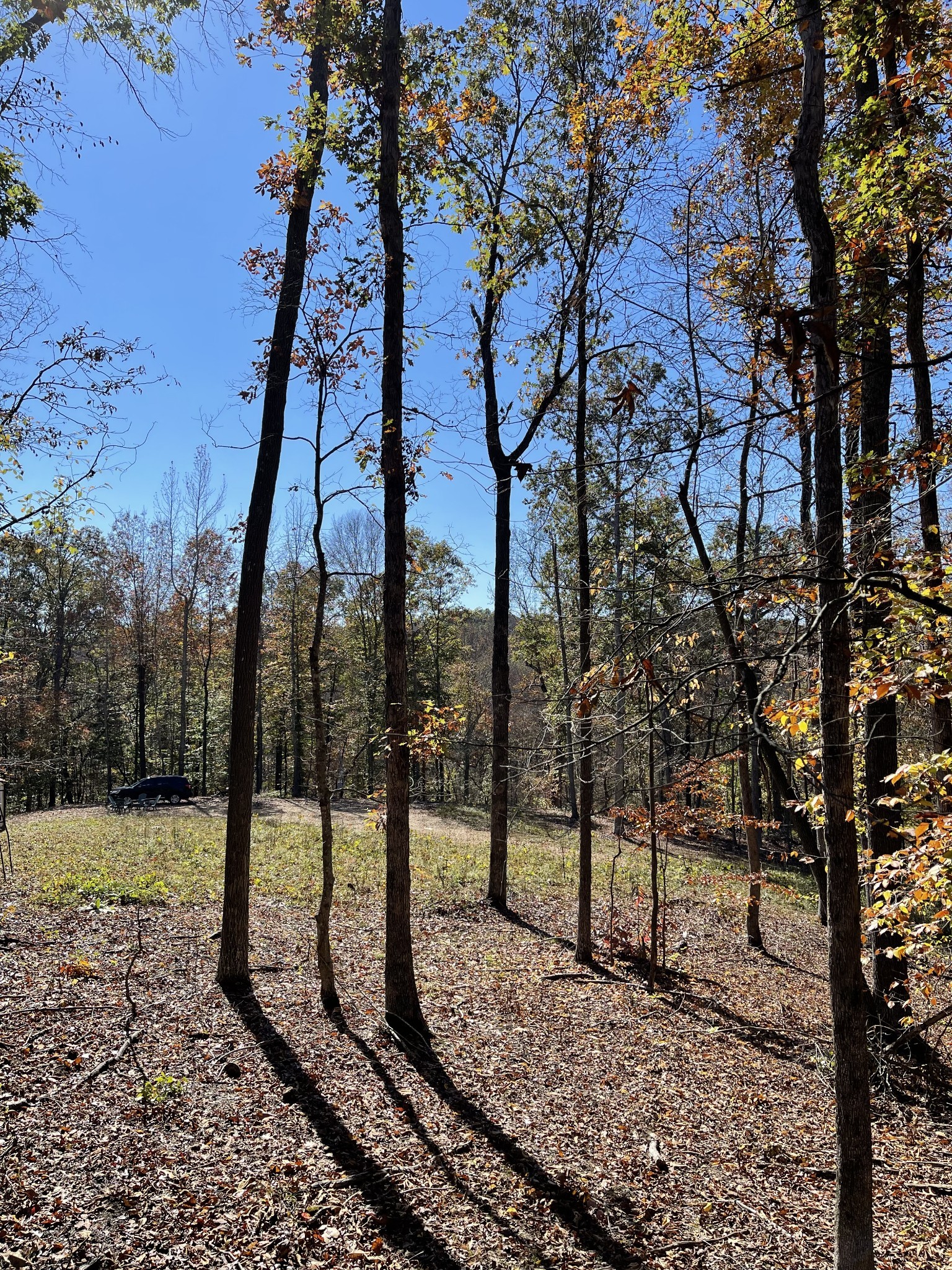 2033 Whiteoak Road Stewart, TN 37175 - Photo 15 of 34 Gallery Image 15