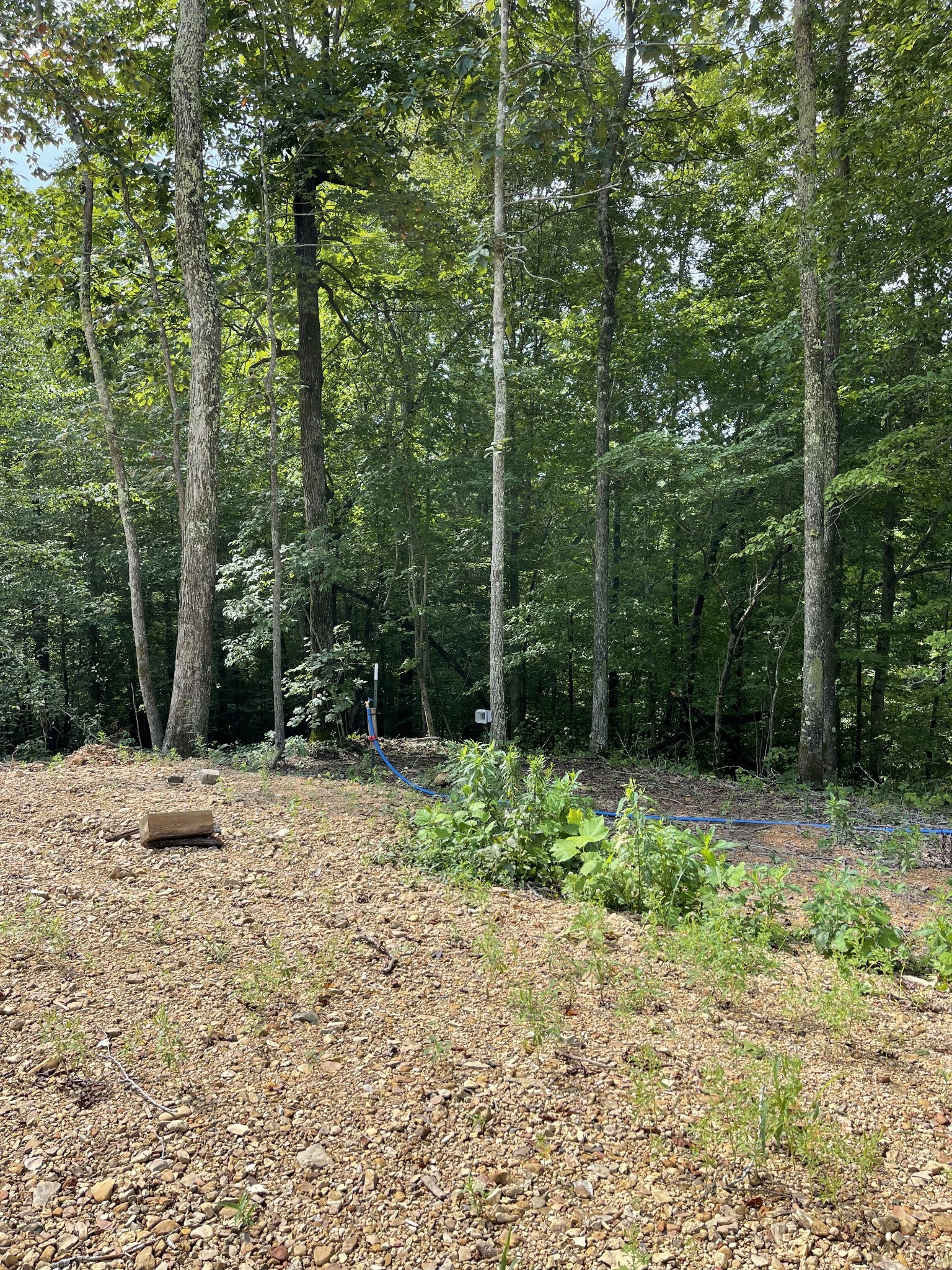 2033 Whiteoak Road Stewart, TN 37175 - Photo 21 of 34 Gallery Image 21