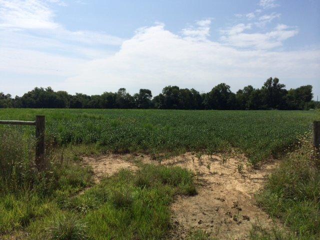 12.730-ac Incline Road Russellville, OH 45168 - Photo 1 of 1