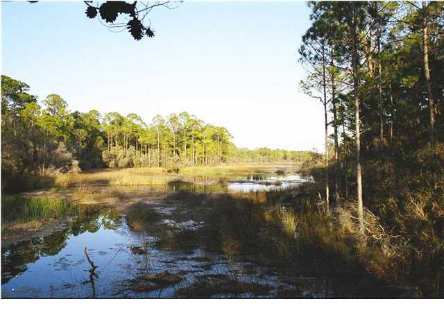 59 Dune Ridge Road Santa Rosa Beach, FL 32459 - Photo 8 of 8
