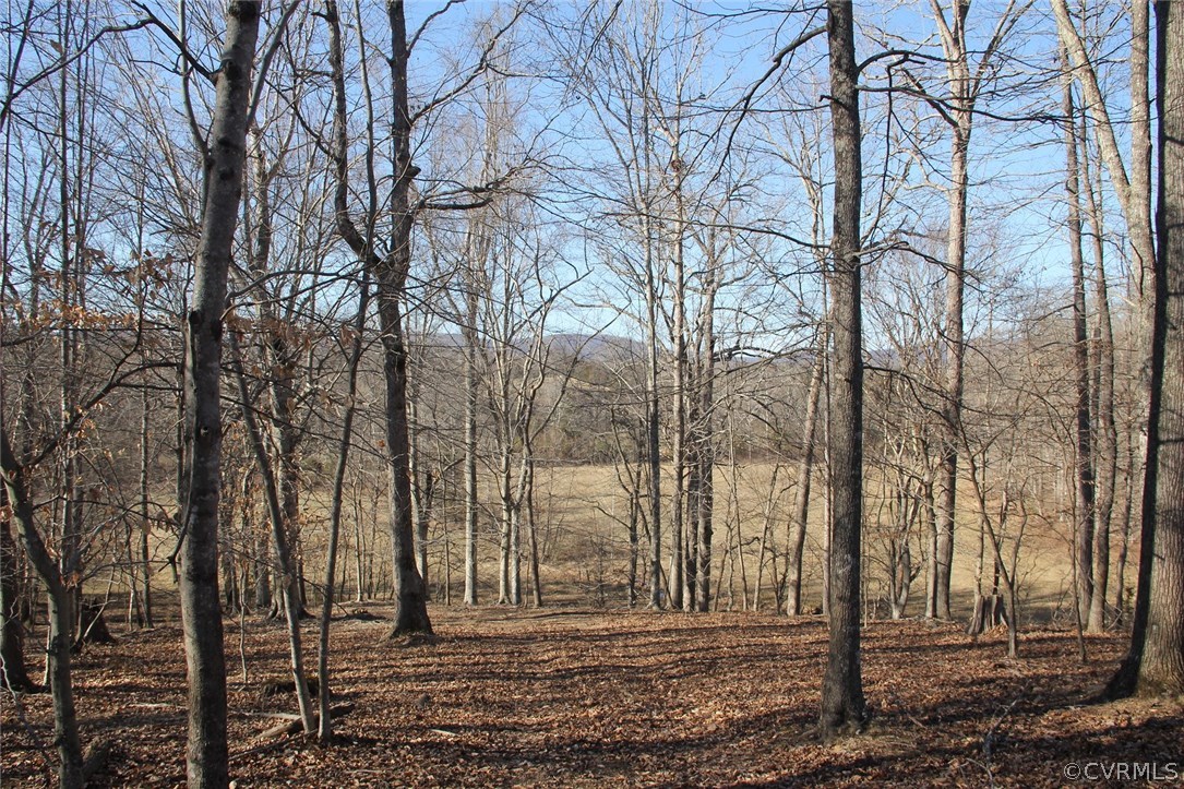 1 Paddock Wood Road Keswick, VA 22947 - Photo 5 of 8 a view of a backyard of the house