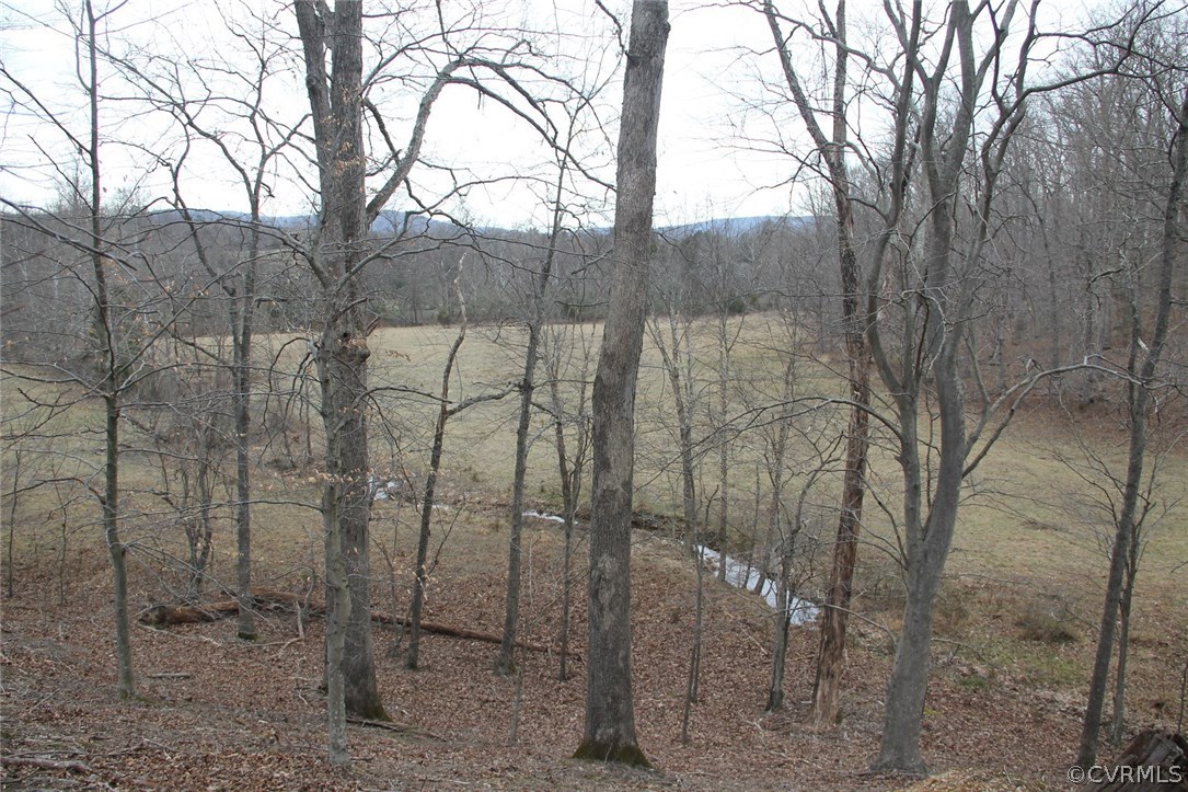 1 Paddock Wood Road Keswick, VA 22947 - Photo 6 of 8 a backyard of a house with lots of green space