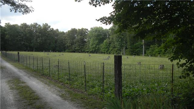 726 Greenwood Road Tullahoma, TN 37388 - Photo 16 of 20 Gallery Image 16
