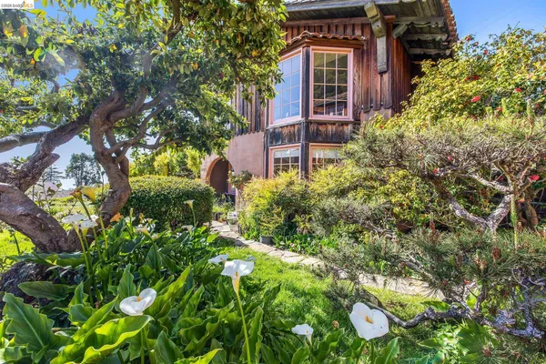 a view of a house with a tree