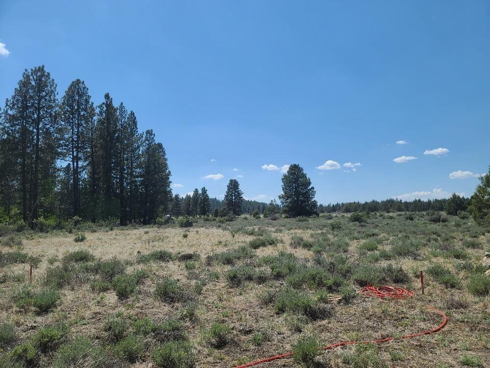 23110 East Forbes Road Sprague River, OR 97639 - Photo 9 of 15 land556 8