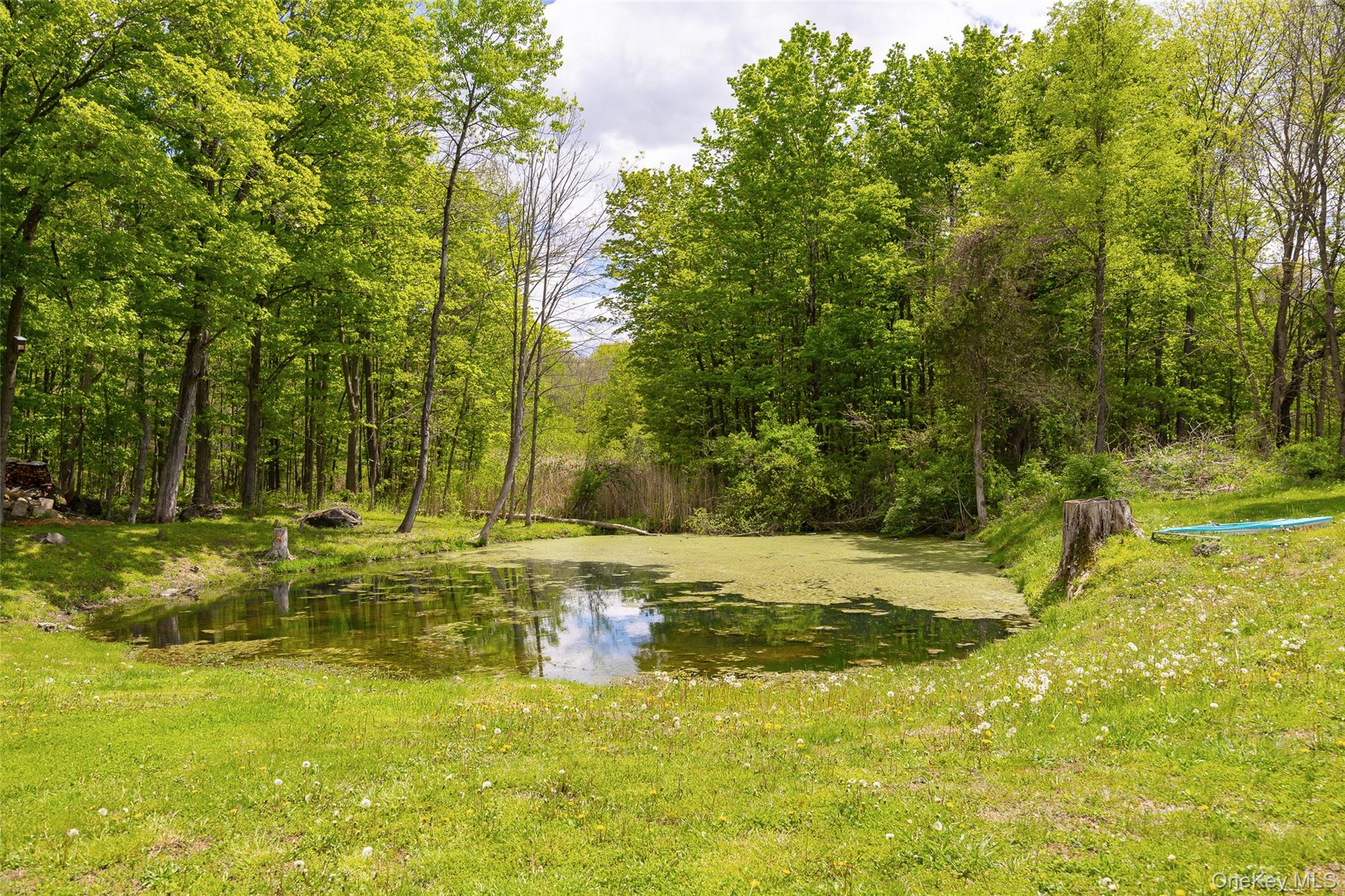 175 Nevis Road Tivoli, NY 12583 - Photo 19 of 29 Pond