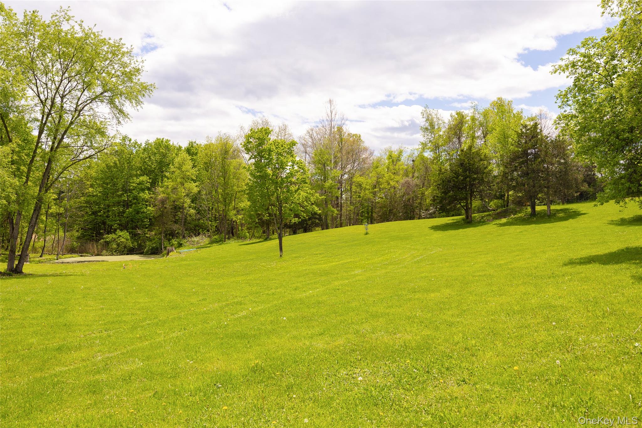 175 Nevis Road Tivoli, NY 12583 - Photo 21 of 29