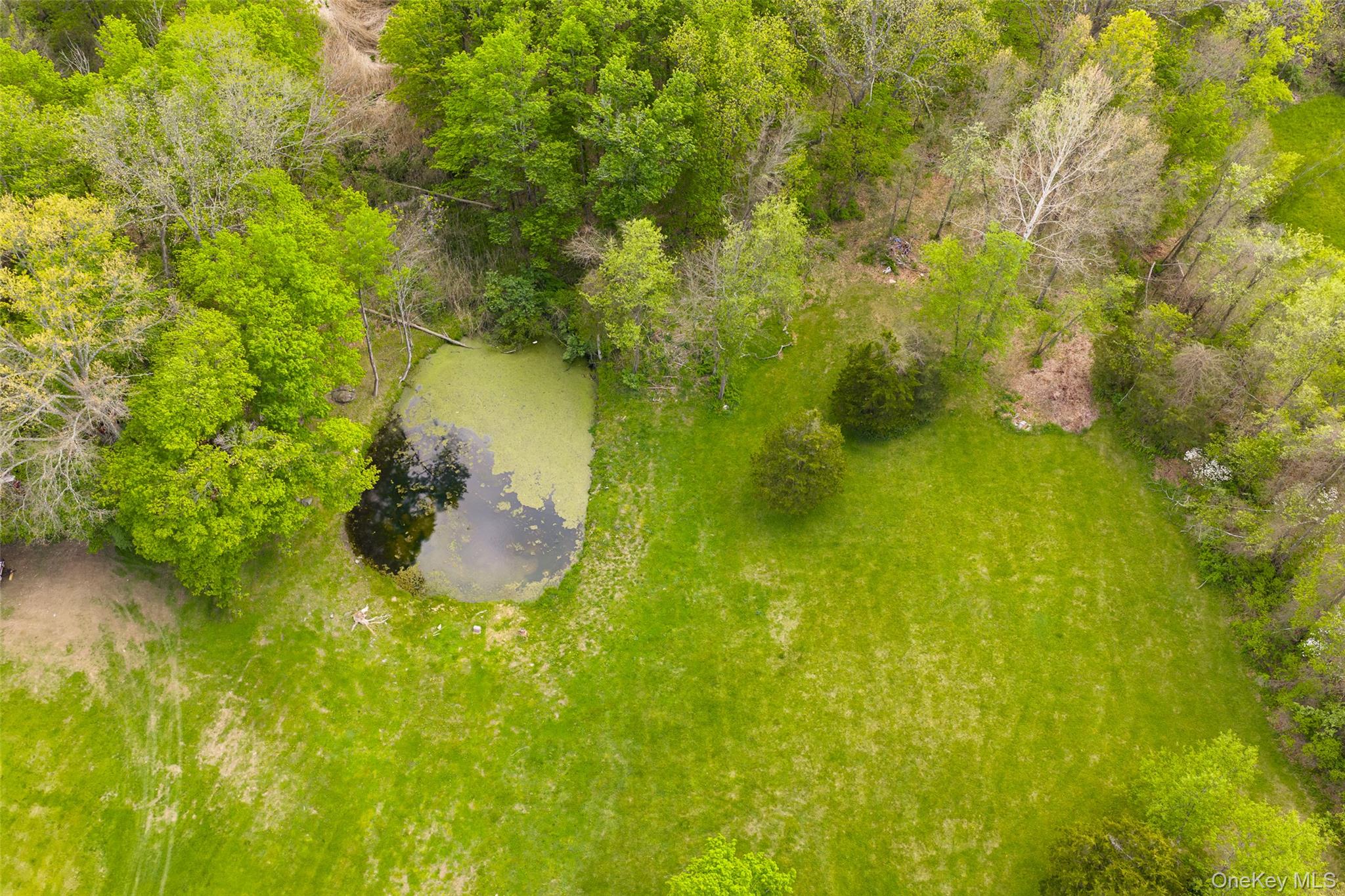 175 Nevis Road Tivoli, NY 12583 - Photo 23 of 29