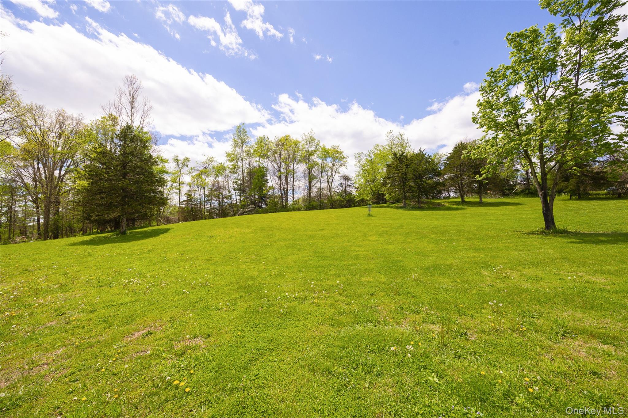 175 Nevis Road Tivoli, NY 12583 - Photo 27 of 29