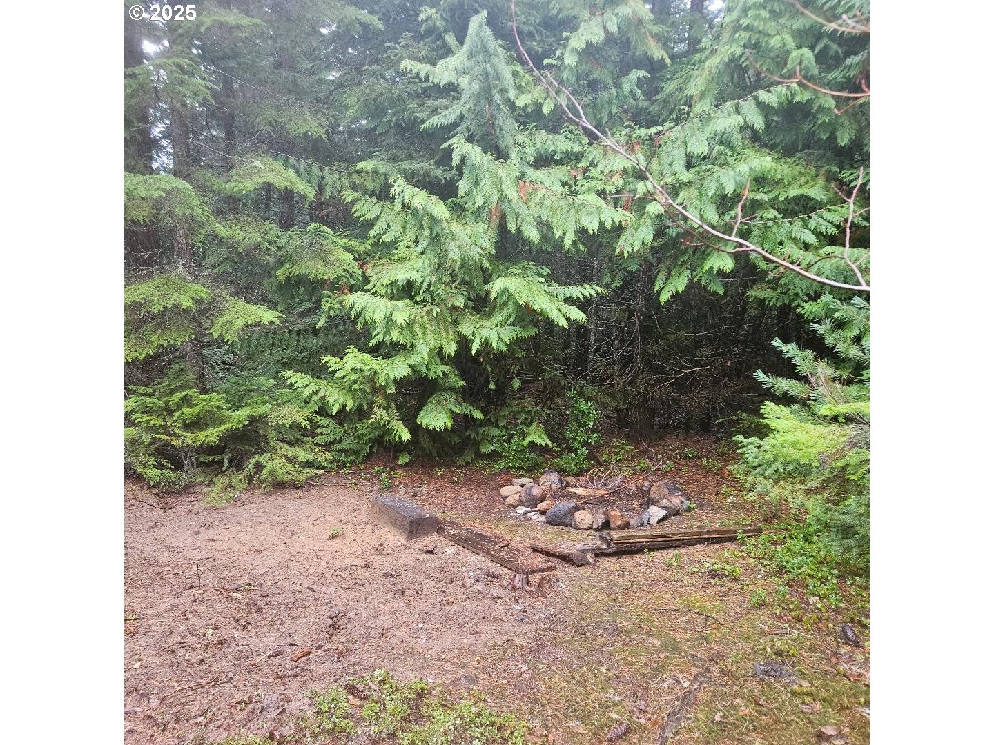 10675 Cooper Spur Road Mount Hood Parkdale, OR 97041 - Photo 12 of 15