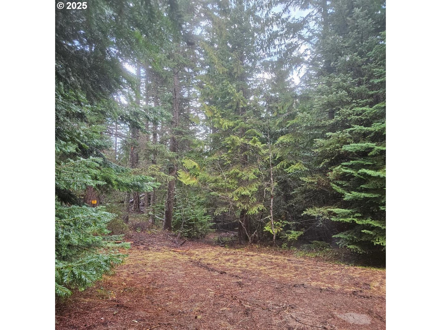 10675 Cooper Spur Road Mount Hood Parkdale, OR 97041 - Photo 13 of 15