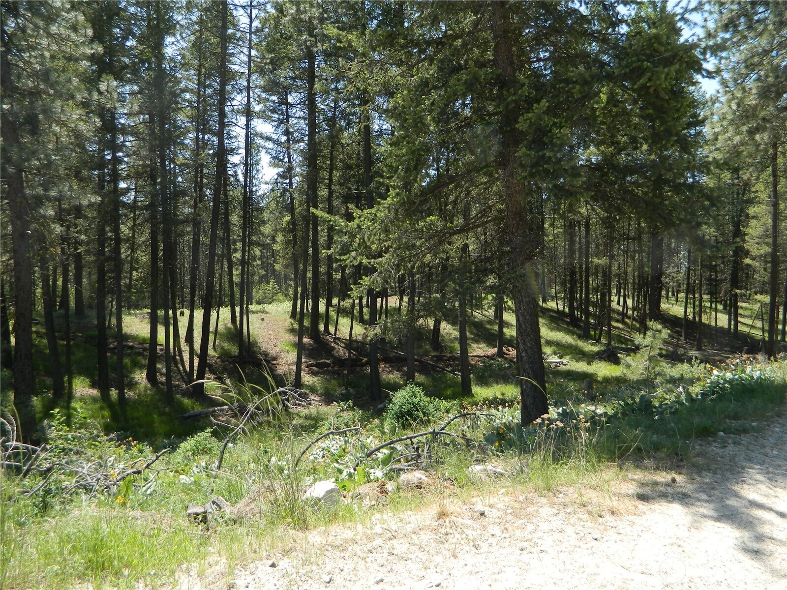 16 Summit Lake Road Tonasket, WA 98855 - Photo 10 of 28