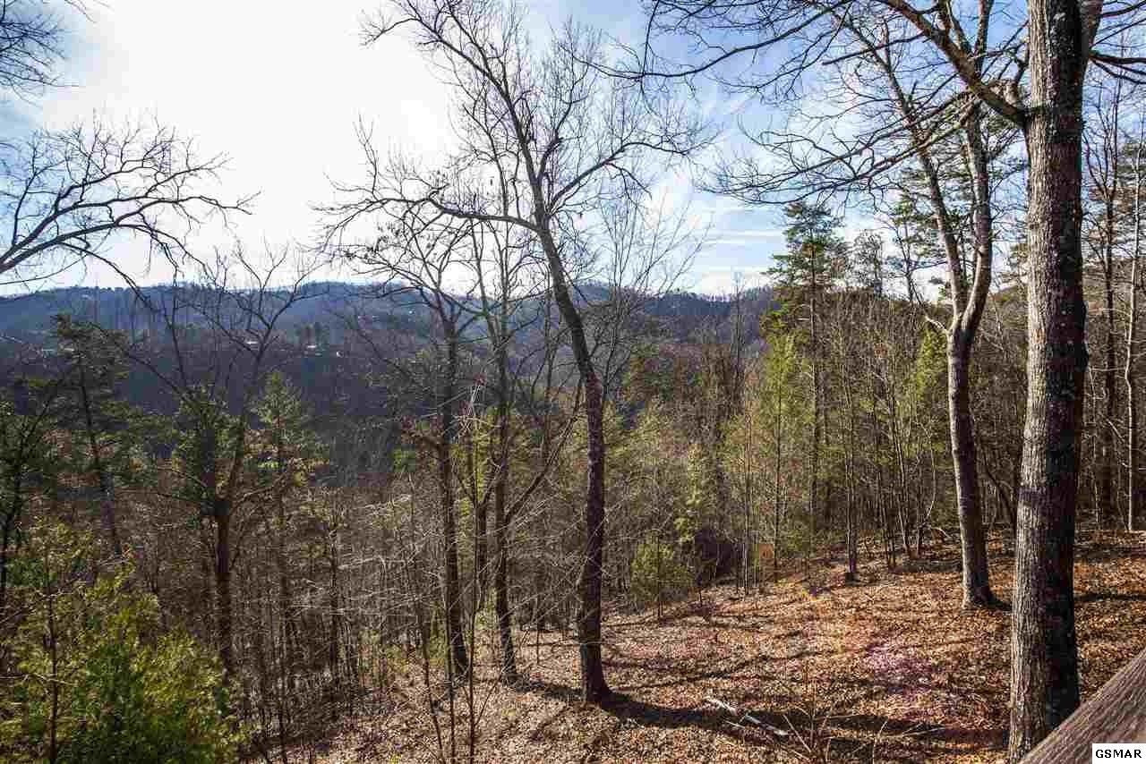 3021 Hatcher Top Road Sevierville, TN 37862 - Photo 32 of 36 Gallery Image 32