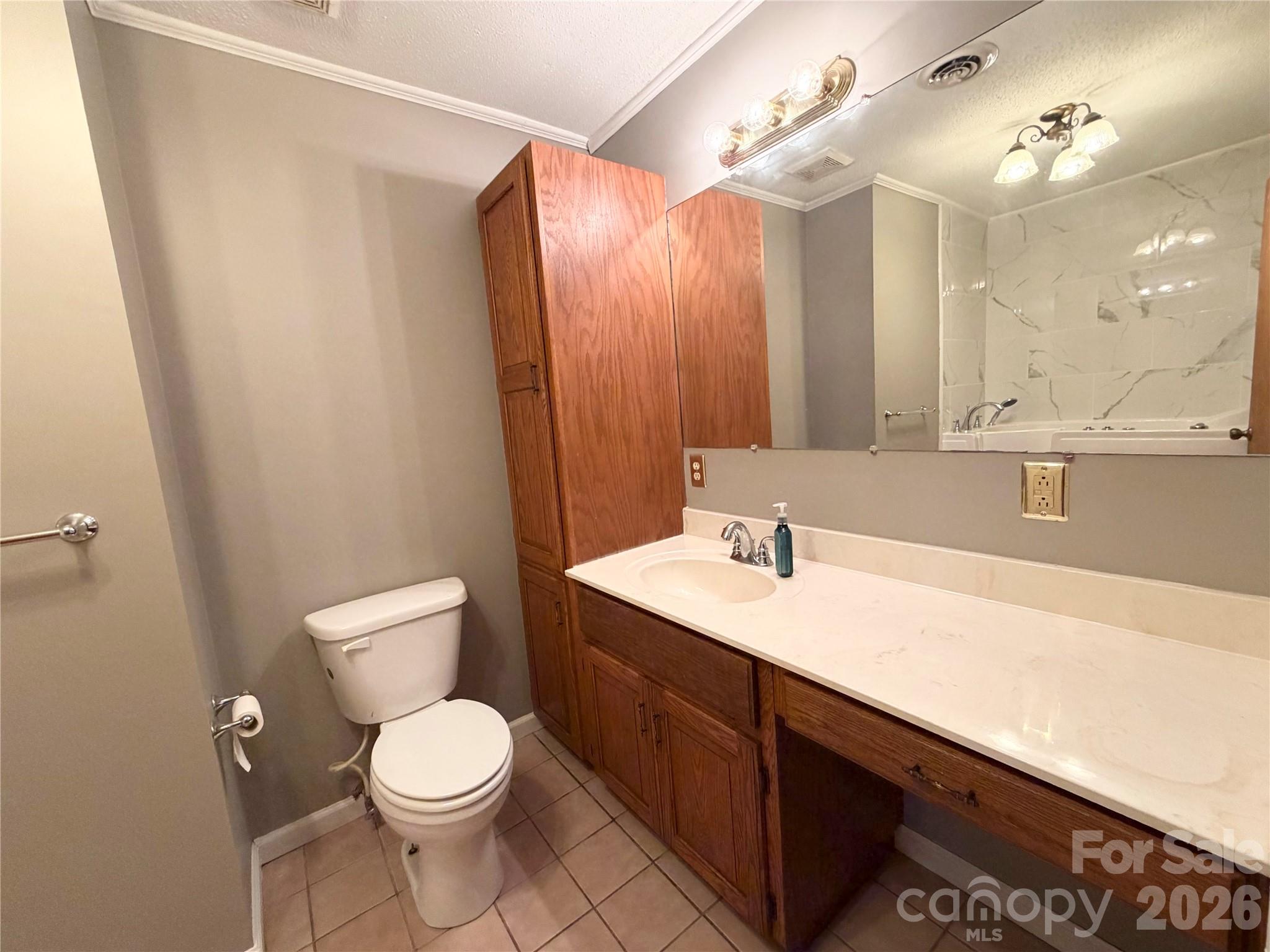 372 Ferry Road Forest City, NC 28043 - Photo 6 of 36 a bathroom with a sink a toilet a mirror and vanity