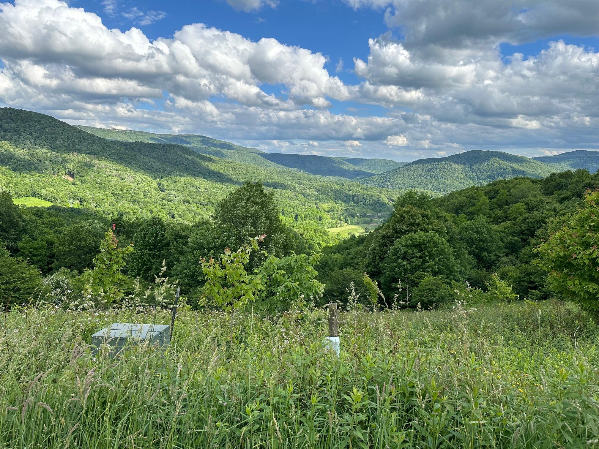 510 Headwaters Road Slatyfork, WV 26291 - Photo 7 of 12 Gallery Image 7